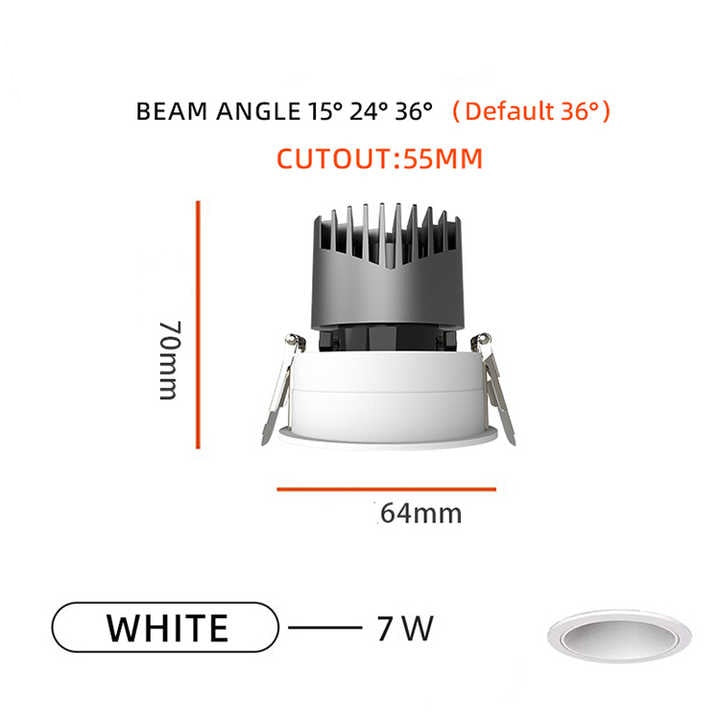 Iron black adjustable LED Downlight