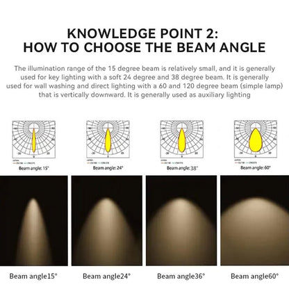 Adjustable Ceiling LED Downlight - Better - Light(HK Belisson) Lighting Co.,Ltd