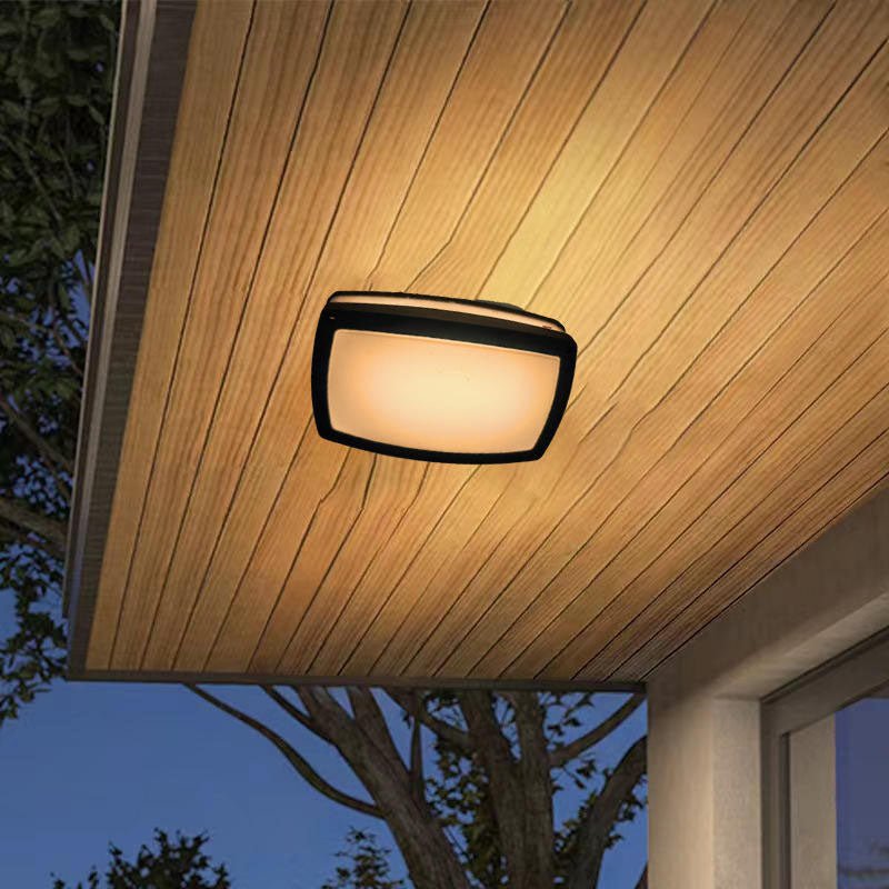 IP65 36W porch lights - Better - Light(HK Belisson) Lighting Co.,Ltd