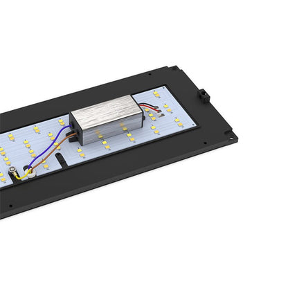 outdoor wall light waterproof - Better - Light(HK Belisson) Lighting Co.,Ltd